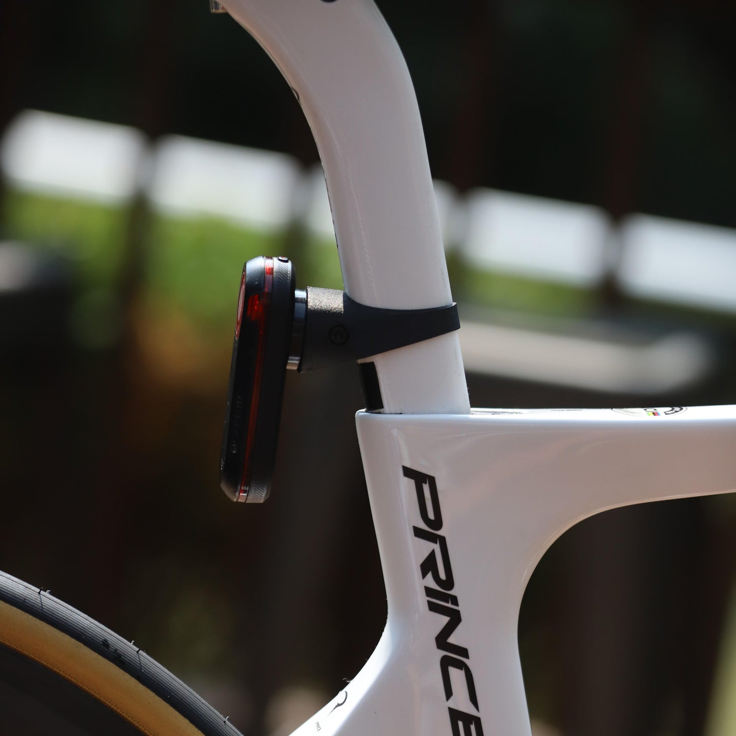 Pinarello Dogma F12/F10, Paris, Prince SL Garmin Varia Mount